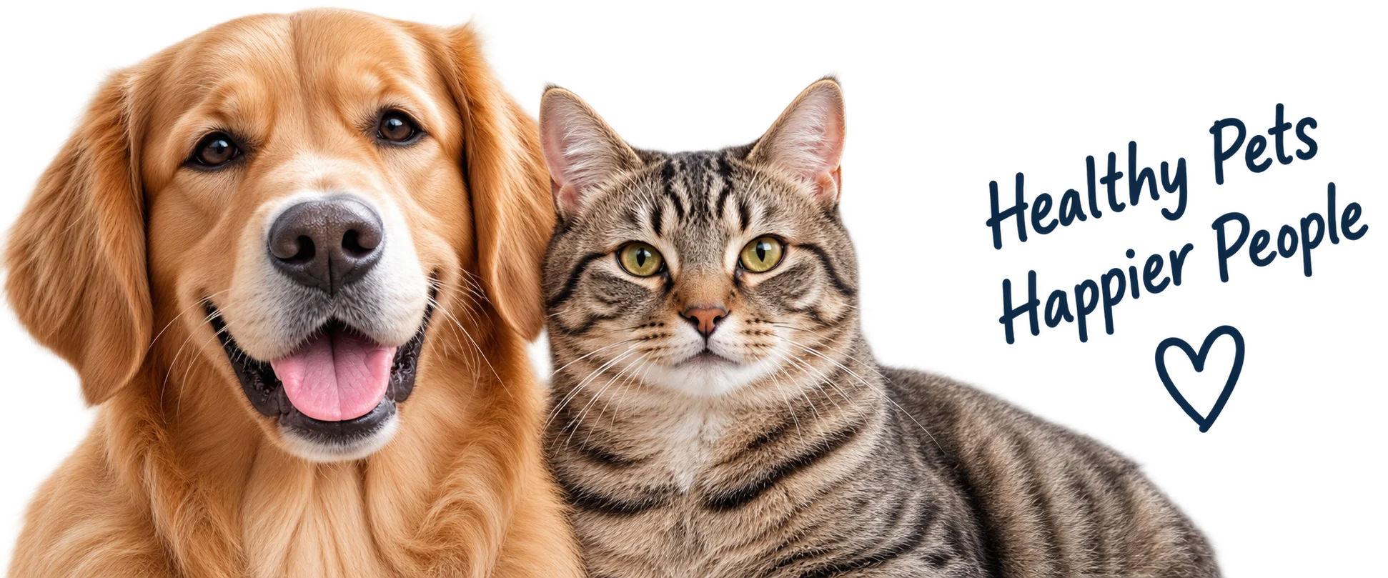 catdogwellness
